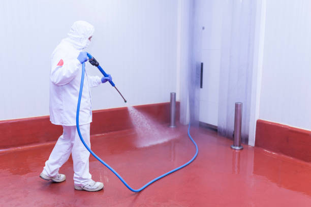 Best Warehouse Cleaning  in Eton, GA