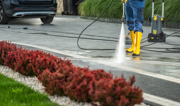 Best Solar Panel Cleaning  in Eton, GA